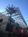 Phoenix Convention Center, photo taken February, 2014 in downtown Phoenix, AZ. Photo: P.Sullivan