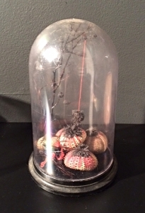 Nola Avienne: "Sea Building" (install view). Black coral, whip coral, magnets, iron filings, silk thread, sea urchins, distressed acrylic glass bell jar, 8” x 6” x 6”, 2015.